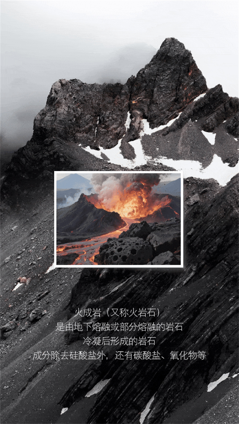 微信图片_2025-07-02_165234_378