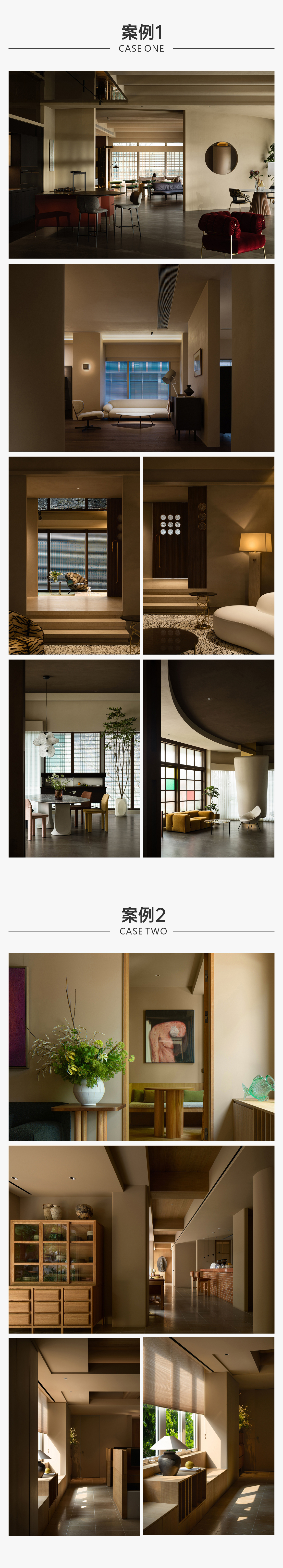 巴西雨化石_05